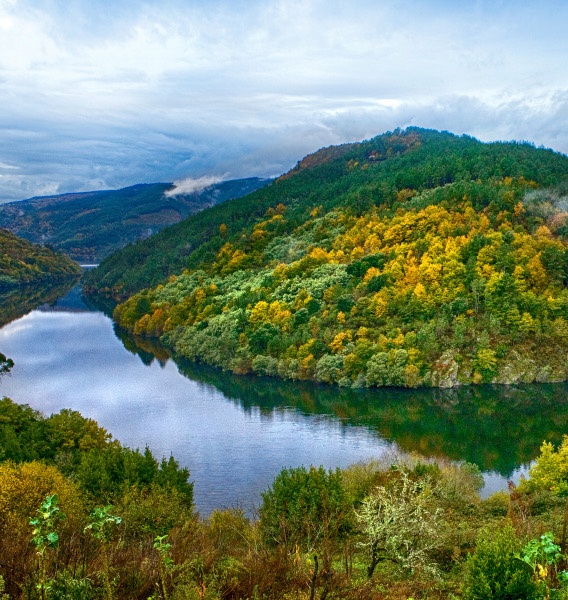 citar/mention:
CEDIDA POR TURISMO DE GALICIA/GIVEN UP BY TURISMO DE GALICIA